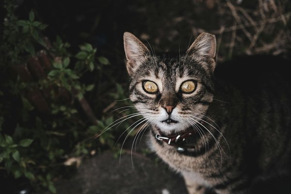 Innovativer matratzenhersteller : nachhaltiger schlafkomfort neu definiert